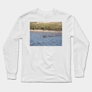 Alligator Swimming in the Water Long Sleeve T-Shirt